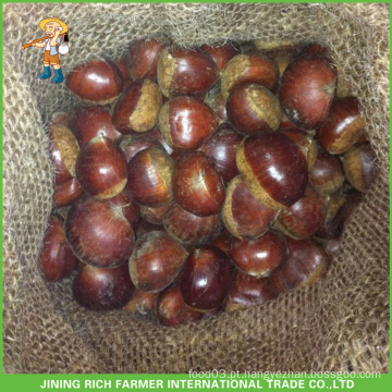 Fábrica de Abastecimento Chinês Chestnut